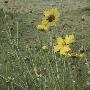 丝袜让男生❌了一夜网站
