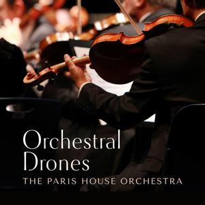 丝袜让男生❌了一夜网站
